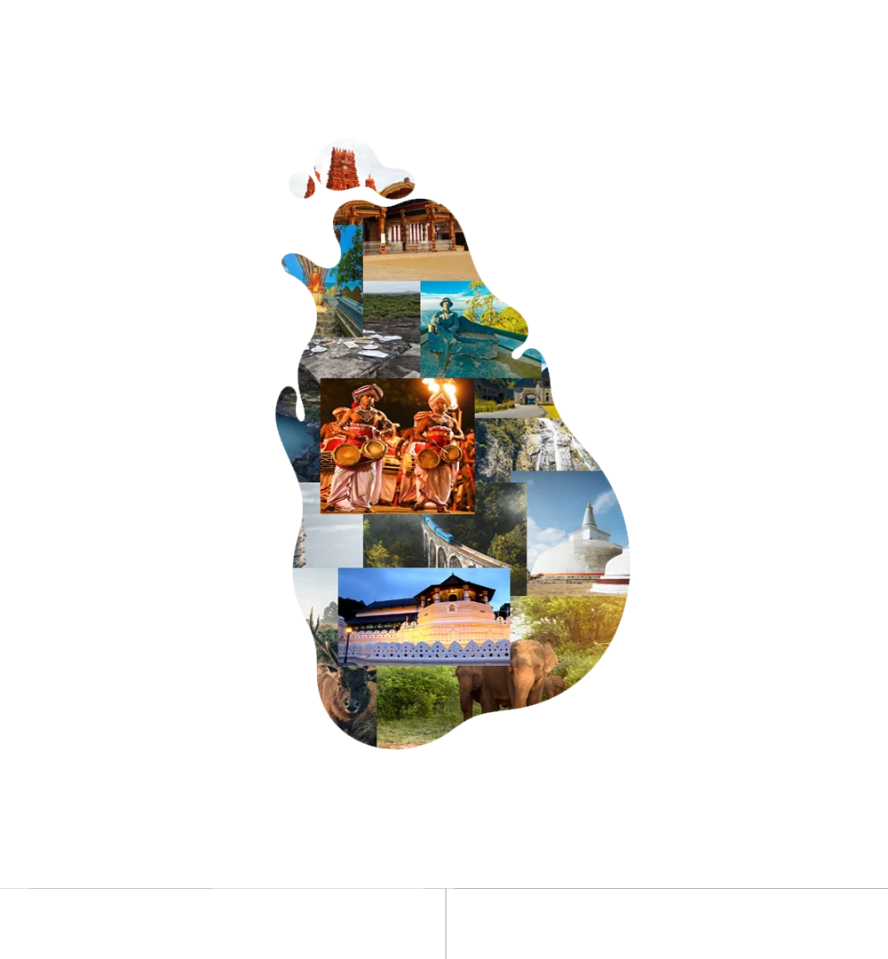 Why visit Sri Lanka collageee